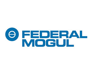 Federal-mogul serina co. ltd